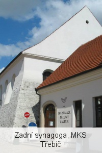 TIC Zadní synagoga zajišťuje prodej vstupenek a průvodcovské služby v Zadní synagoze, židovském muzeu Seligmanna Bauera, po židovské čtvrti a židovském hřbitově.